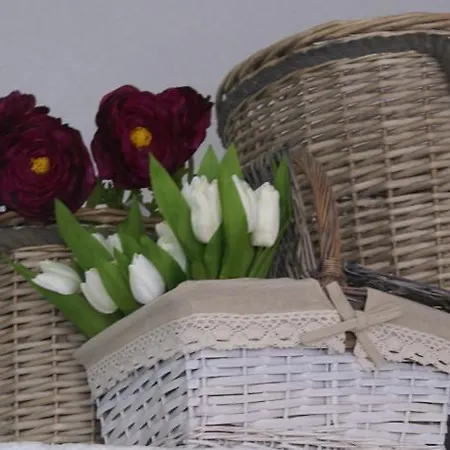 Διαμέρισμα Moorea Country